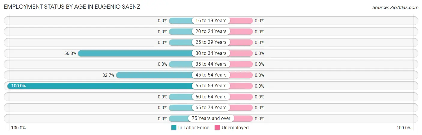 Employment Status by Age in Eugenio Saenz