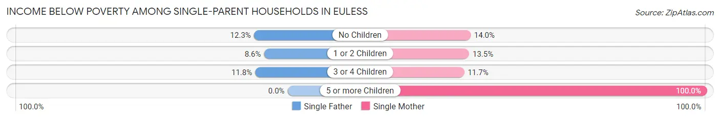 Income Below Poverty Among Single-Parent Households in Euless