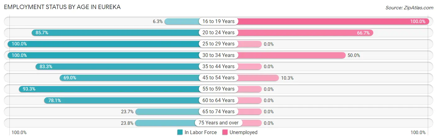 Employment Status by Age in Eureka