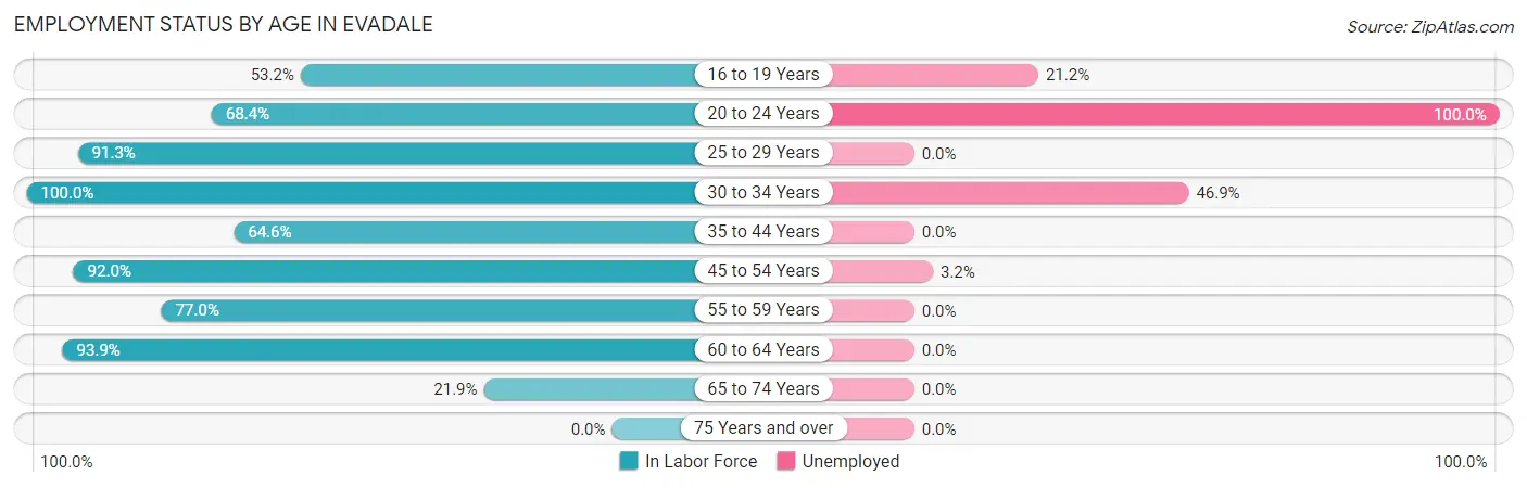 Employment Status by Age in Evadale