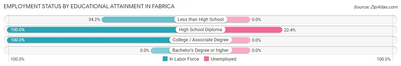 Employment Status by Educational Attainment in Fabrica