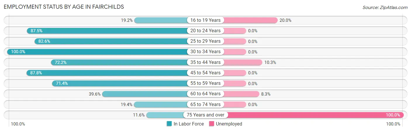 Employment Status by Age in Fairchilds