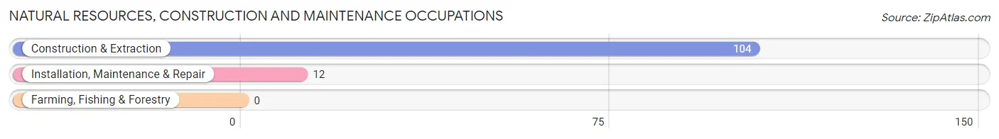 Natural Resources, Construction and Maintenance Occupations in Falcon Lake Estates