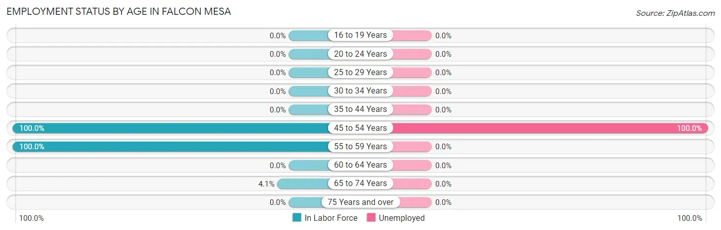 Employment Status by Age in Falcon Mesa