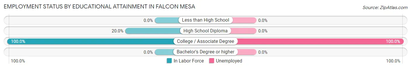 Employment Status by Educational Attainment in Falcon Mesa