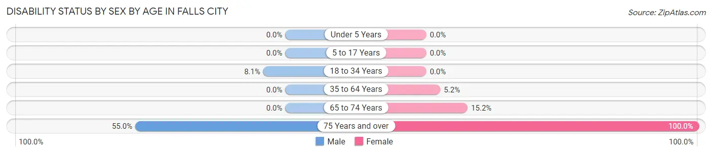Disability Status by Sex by Age in Falls City