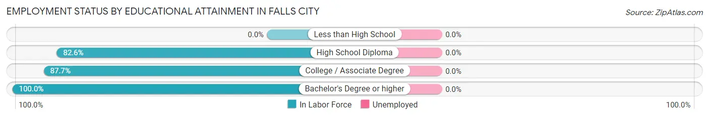 Employment Status by Educational Attainment in Falls City