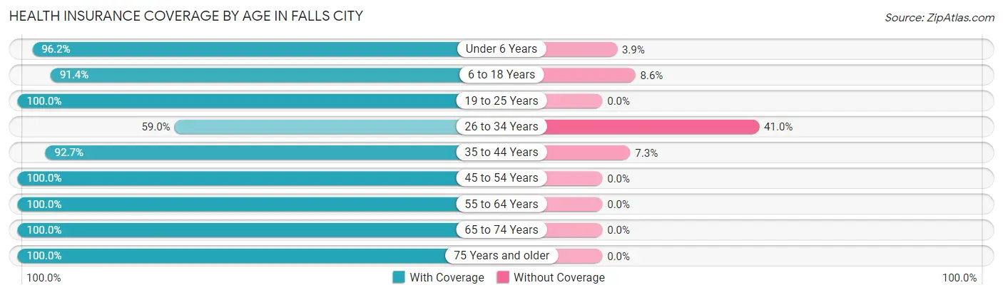 Health Insurance Coverage by Age in Falls City