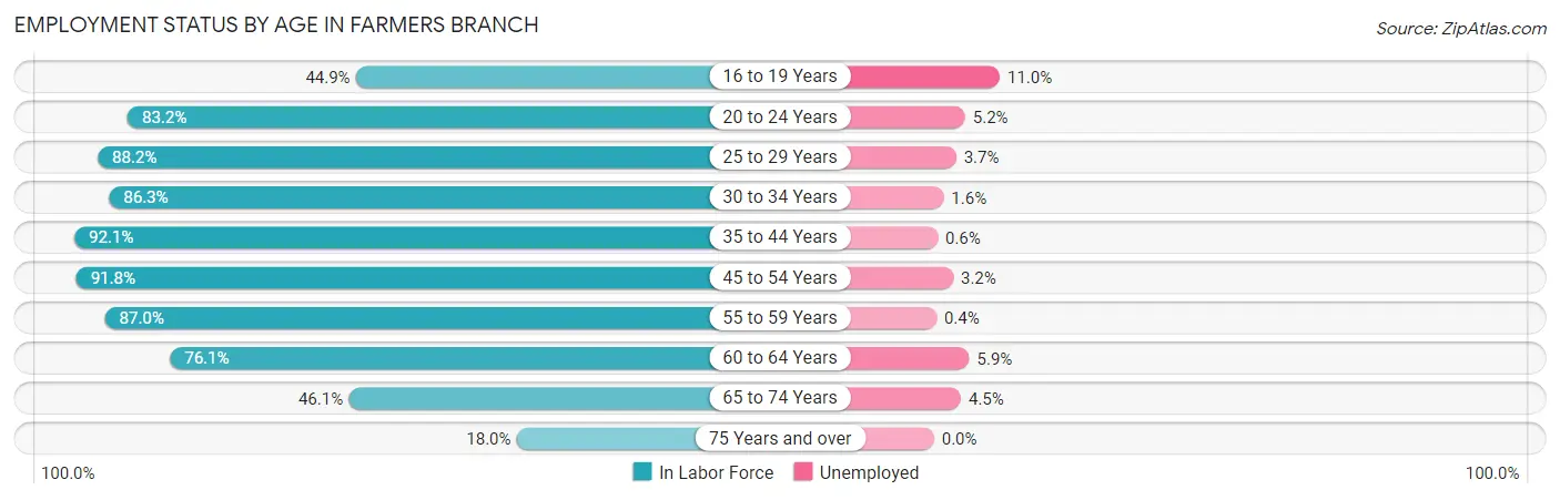 Employment Status by Age in Farmers Branch