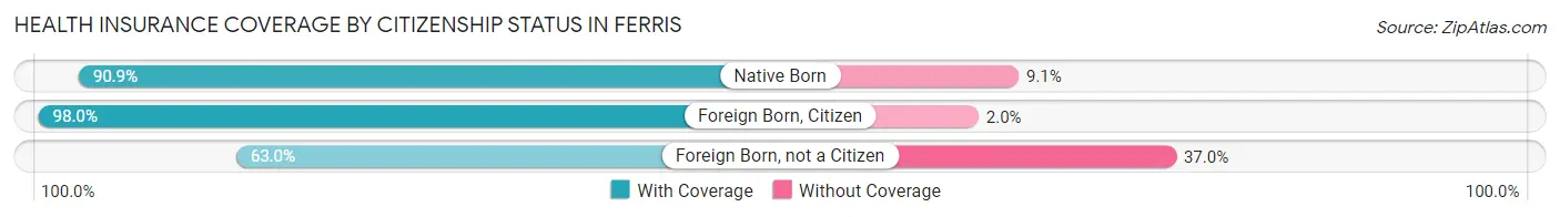 Health Insurance Coverage by Citizenship Status in Ferris