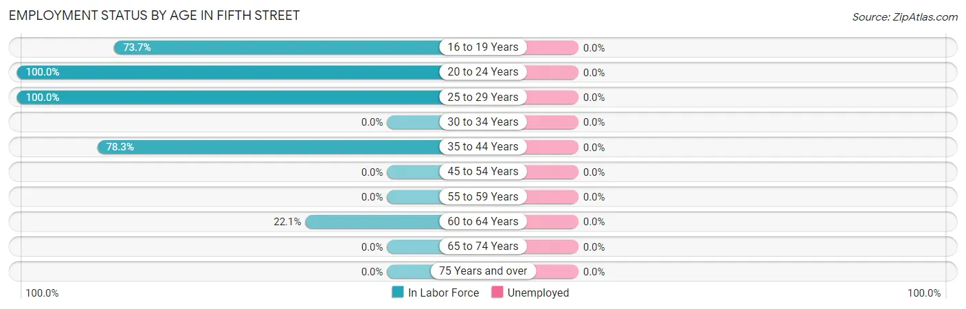 Employment Status by Age in Fifth Street