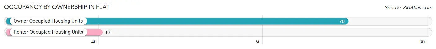 Occupancy by Ownership in Flat