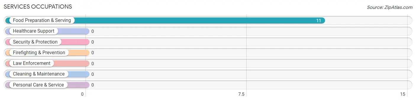 Services Occupations in Flat