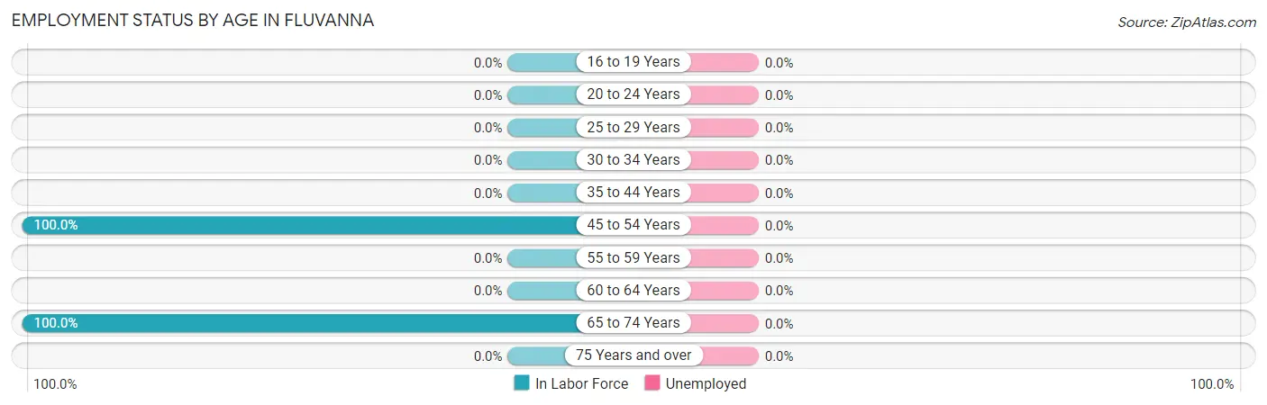 Employment Status by Age in Fluvanna