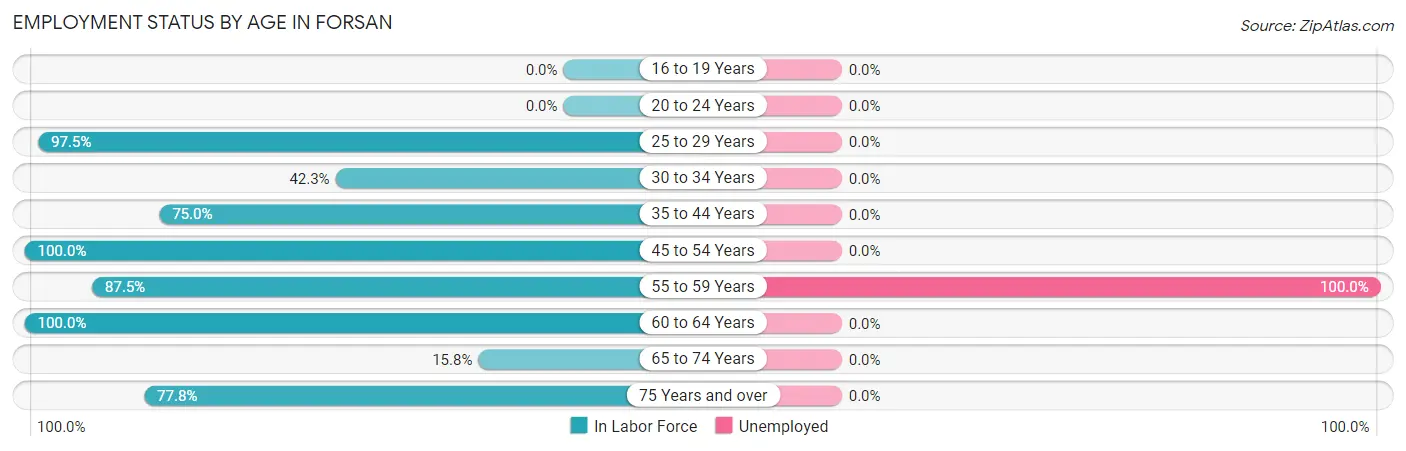 Employment Status by Age in Forsan