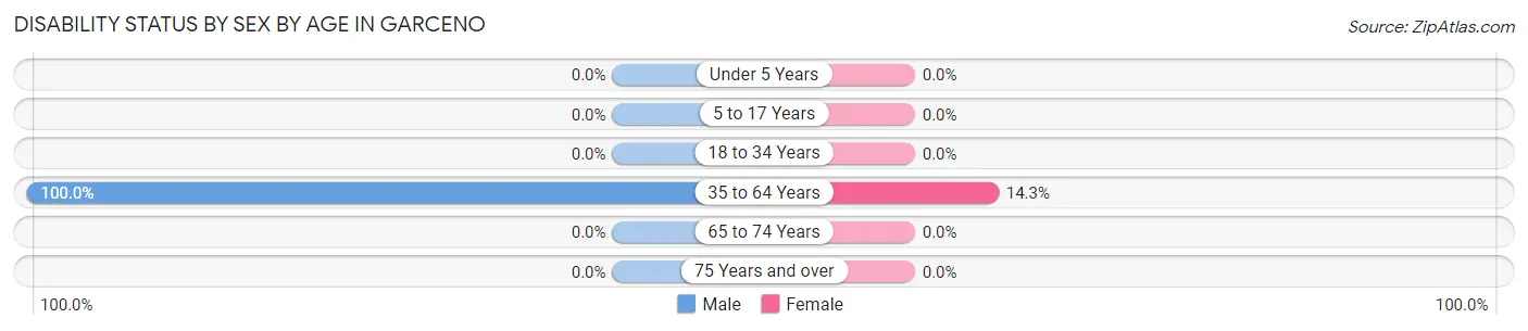 Disability Status by Sex by Age in Garceno