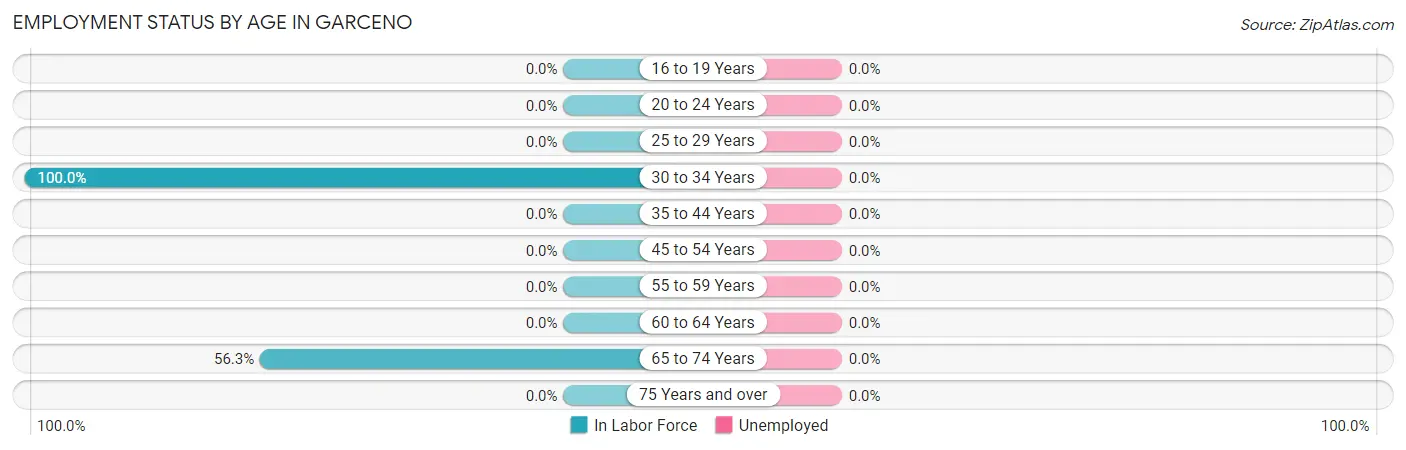 Employment Status by Age in Garceno