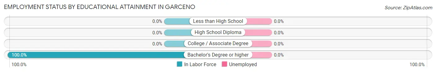 Employment Status by Educational Attainment in Garceno