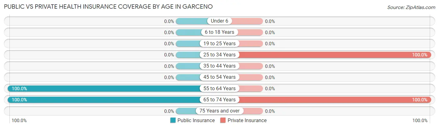 Public vs Private Health Insurance Coverage by Age in Garceno