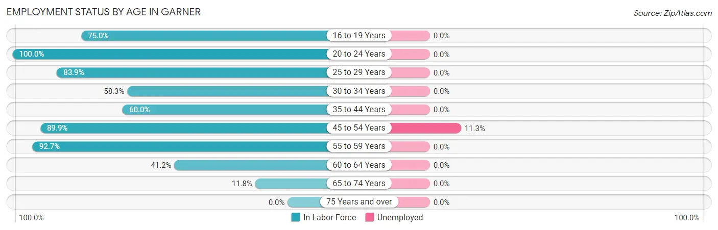 Employment Status by Age in Garner