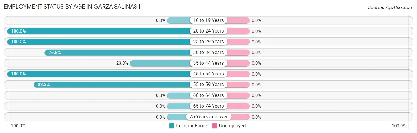 Employment Status by Age in Garza Salinas II