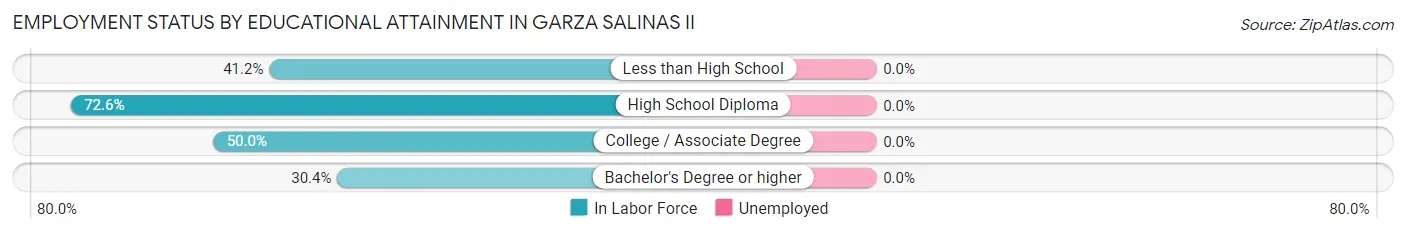 Employment Status by Educational Attainment in Garza Salinas II
