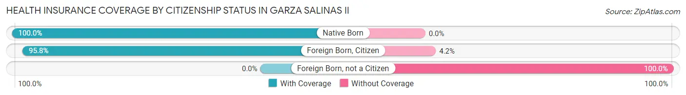 Health Insurance Coverage by Citizenship Status in Garza Salinas II