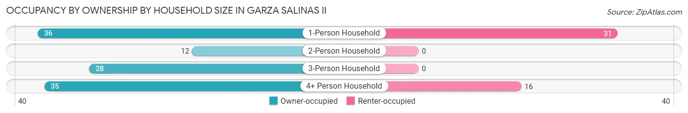 Occupancy by Ownership by Household Size in Garza Salinas II