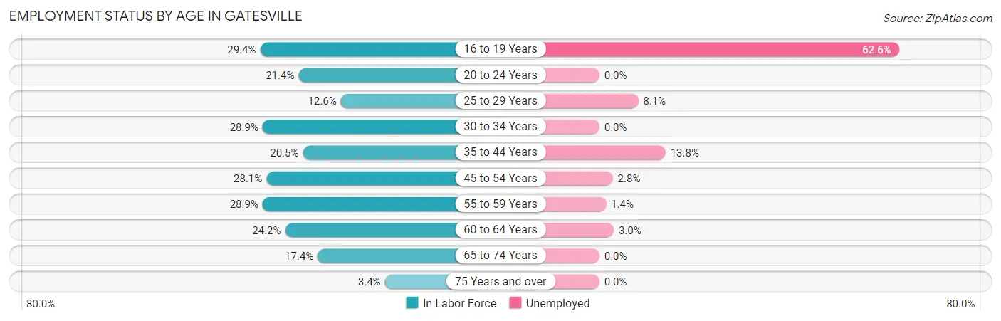 Employment Status by Age in Gatesville