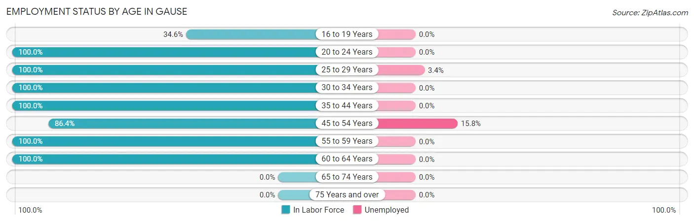 Employment Status by Age in Gause