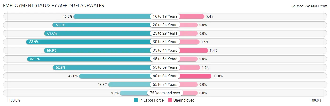 Employment Status by Age in Gladewater