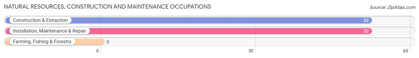 Natural Resources, Construction and Maintenance Occupations in Godley