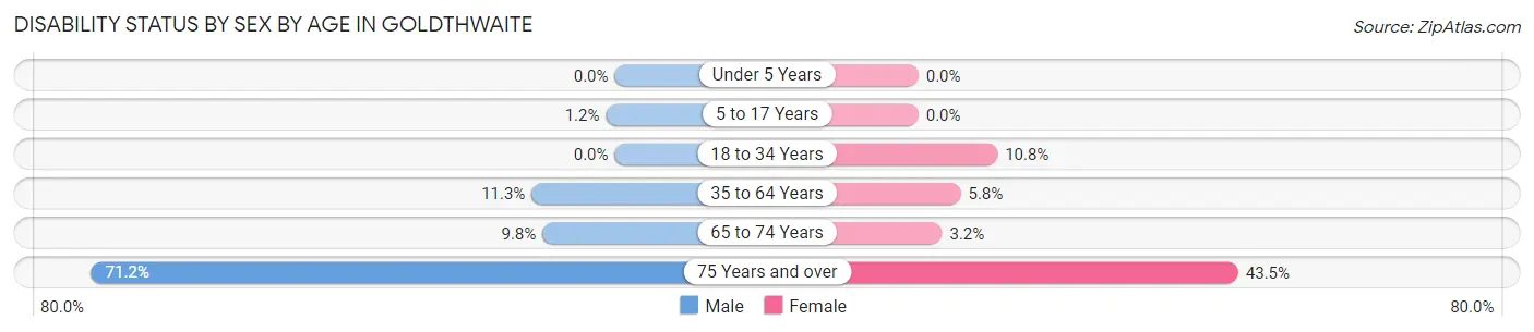 Disability Status by Sex by Age in Goldthwaite