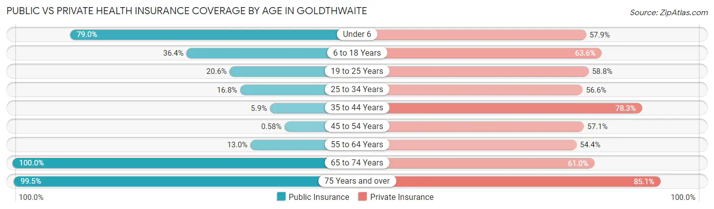 Public vs Private Health Insurance Coverage by Age in Goldthwaite