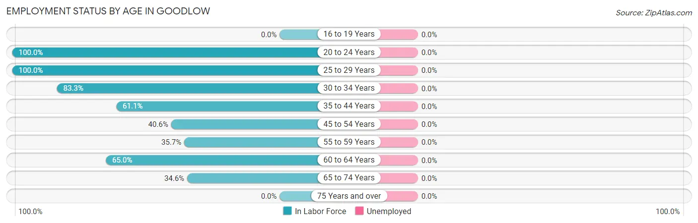 Employment Status by Age in Goodlow