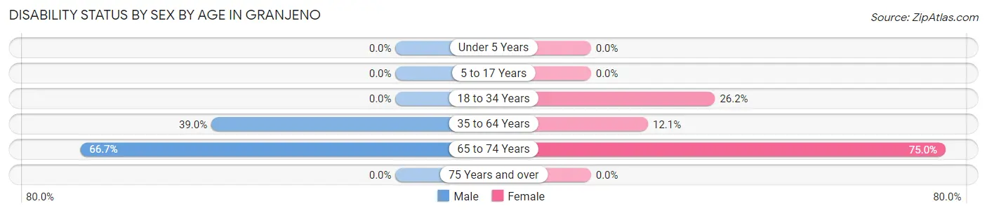 Disability Status by Sex by Age in Granjeno