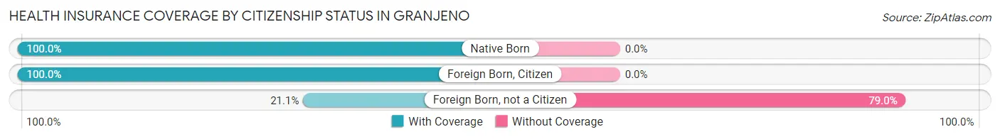 Health Insurance Coverage by Citizenship Status in Granjeno