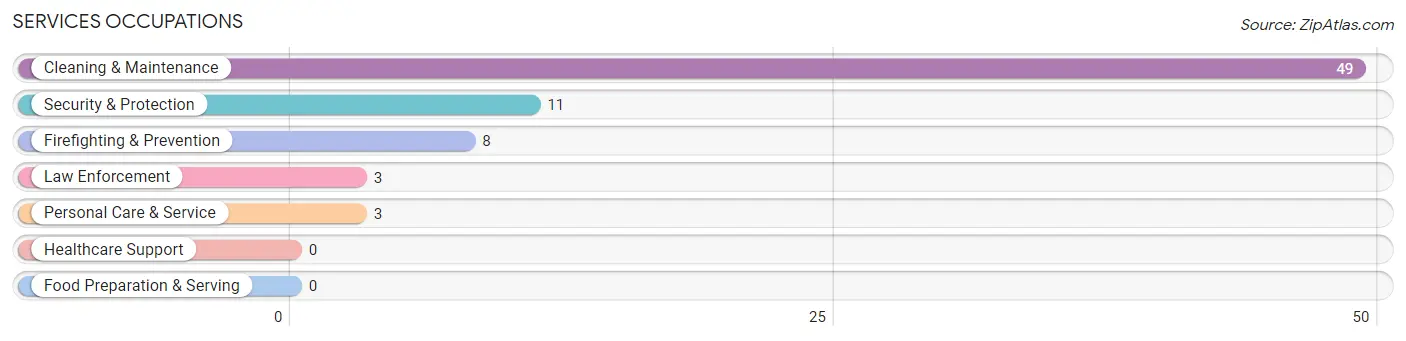 Services Occupations in Granjeno