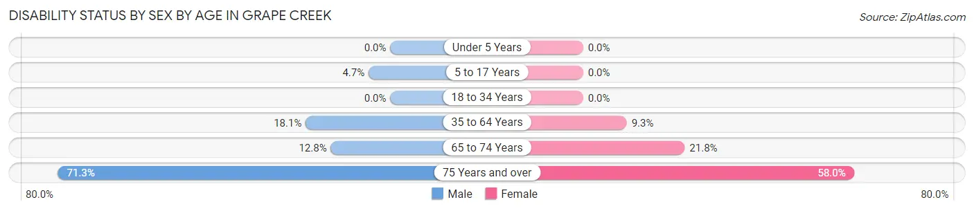 Disability Status by Sex by Age in Grape Creek