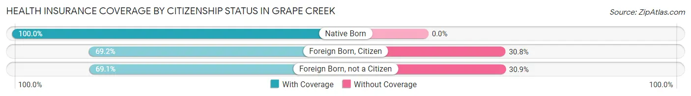 Health Insurance Coverage by Citizenship Status in Grape Creek