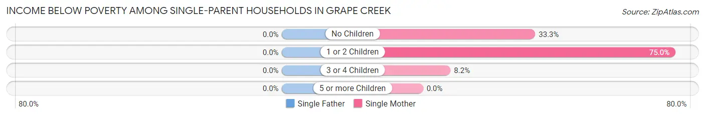 Income Below Poverty Among Single-Parent Households in Grape Creek