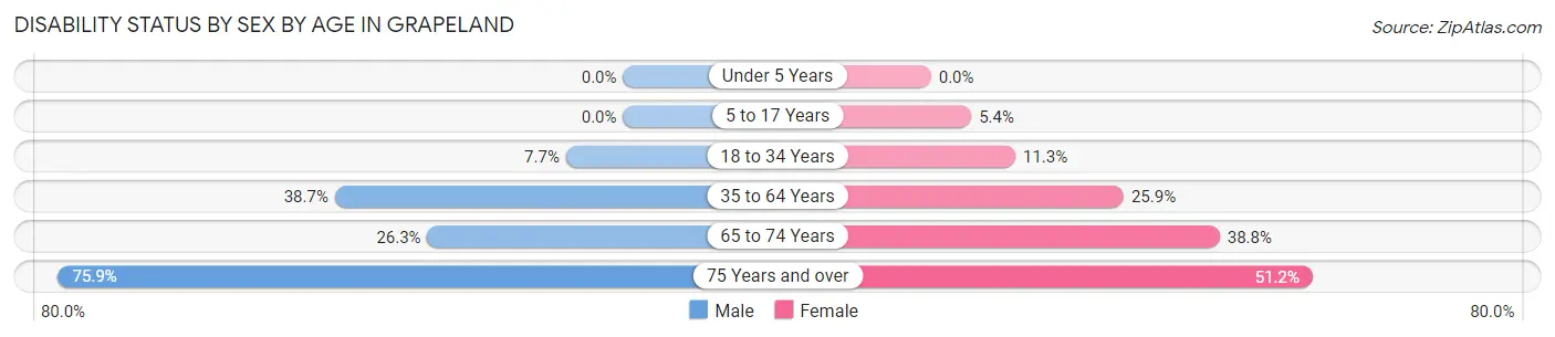 Disability Status by Sex by Age in Grapeland