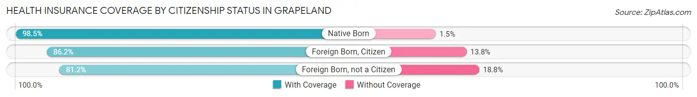 Health Insurance Coverage by Citizenship Status in Grapeland