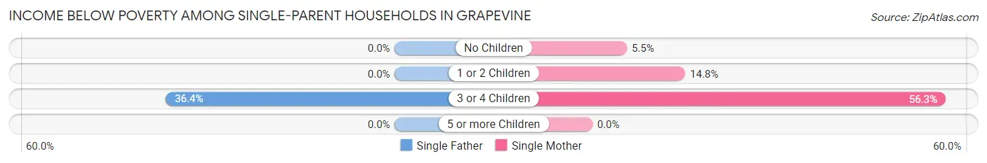 Income Below Poverty Among Single-Parent Households in Grapevine
