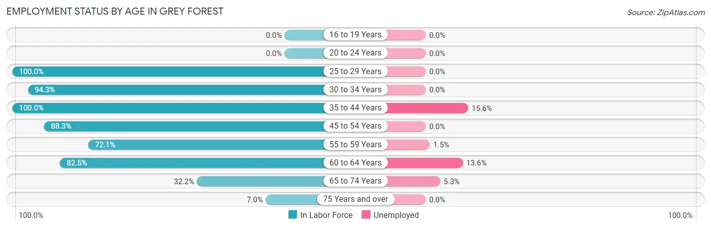 Employment Status by Age in Grey Forest