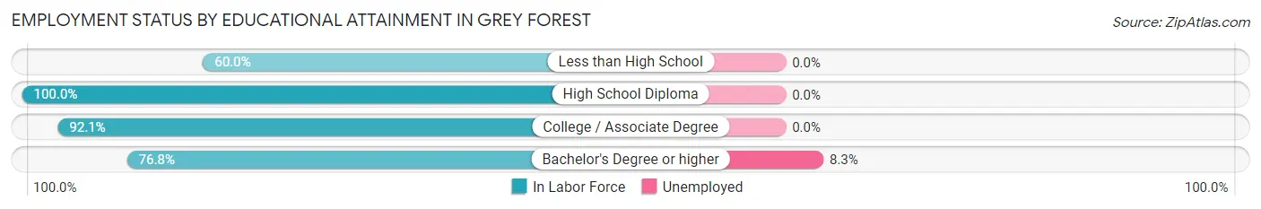 Employment Status by Educational Attainment in Grey Forest