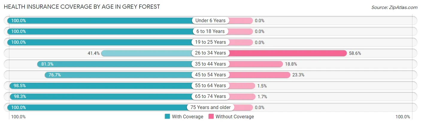 Health Insurance Coverage by Age in Grey Forest