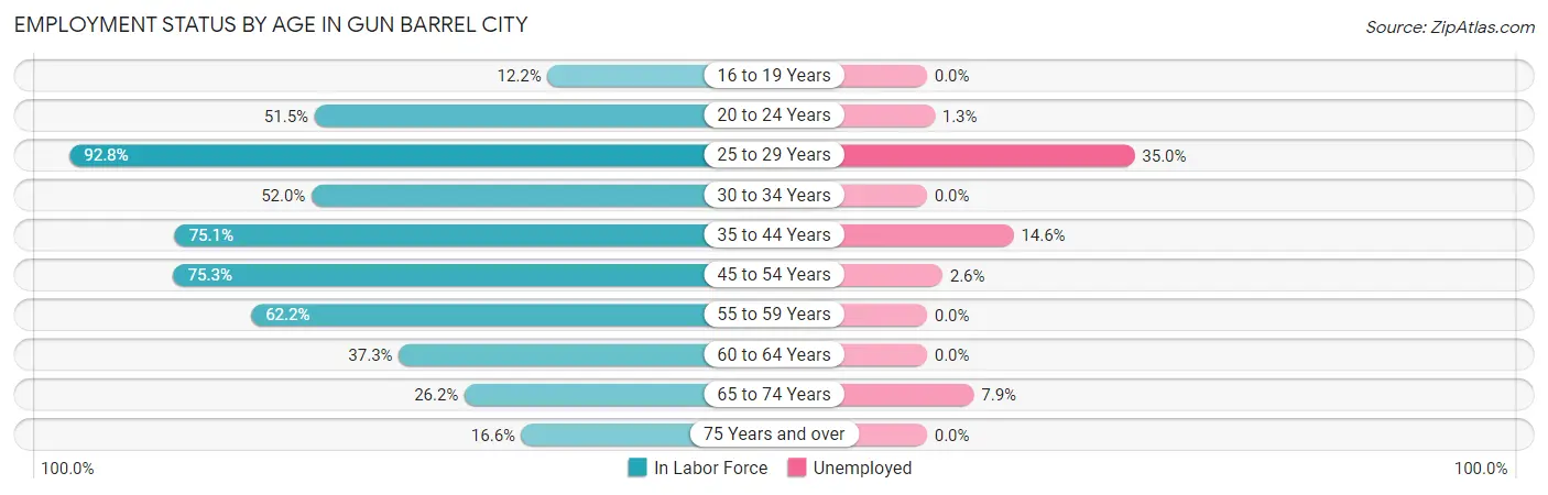 Employment Status by Age in Gun Barrel City
