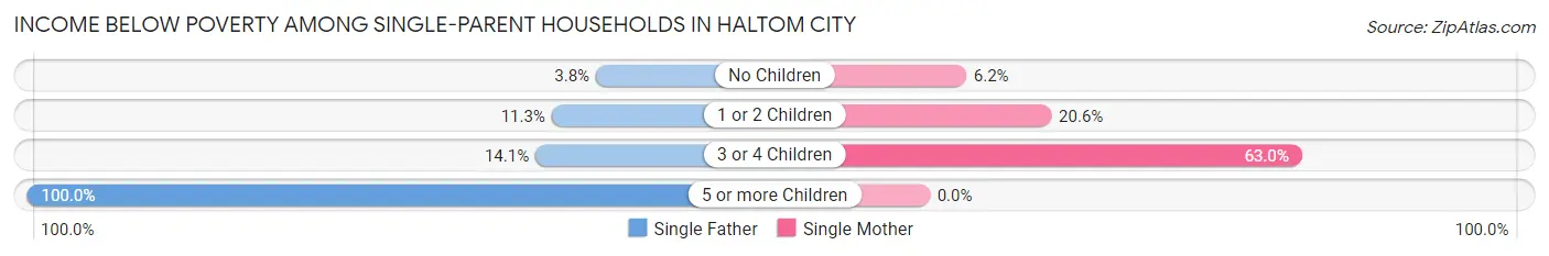 Income Below Poverty Among Single-Parent Households in Haltom City