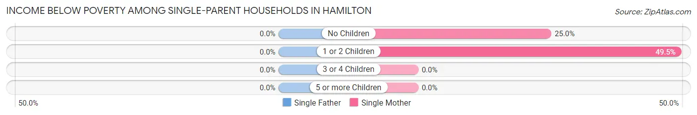 Income Below Poverty Among Single-Parent Households in Hamilton